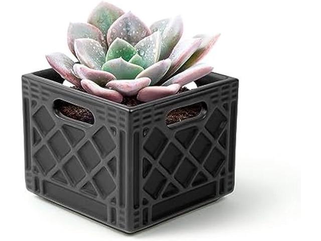 Genuine Fred Fancy Plants Milk Crate, Planter