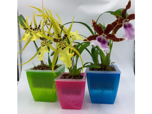 3 Perfect Orchid Planter, Plastic Planter Pot, Orchid Pots with Holes Mesh Net Orchid Planter Flower Pots for Home Decoration 3 Inner Baskets & 3...