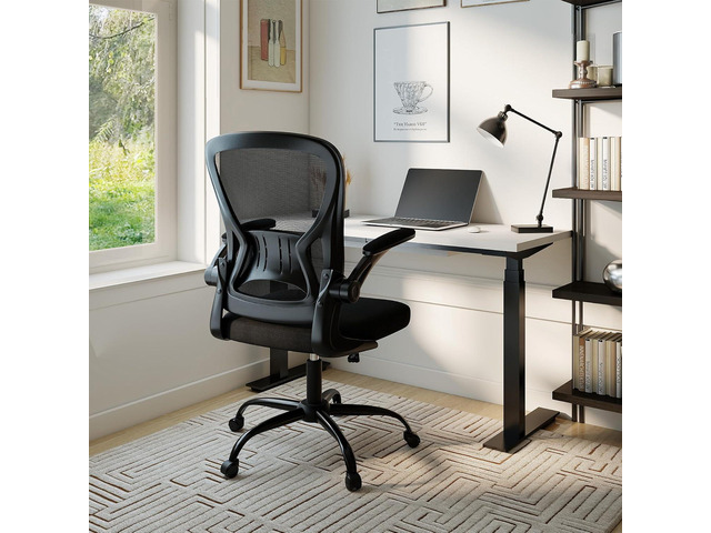 Youhauchair Adjustable Mesh Ergonomic Office Chair with Wheels, Black Flip-up Arms, Lumbar Support, Home Desk Chair, Height Adjustable,...