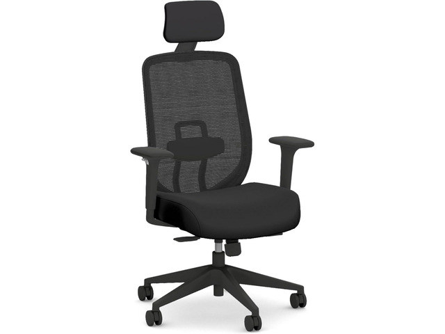 HON Altern Ergonomic Office Chair, Office Desk Computer Chair, Black Mesh desk chair with lumbar support, headrest, seat slide, adjustable arms,...