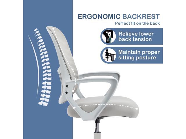 Office Ergonomic Desk Chair, Mesh Comfy Computer Work Chair with Armrests and Adjustable Lumbar Support, Rolling Swivel Executive Task Chair for...