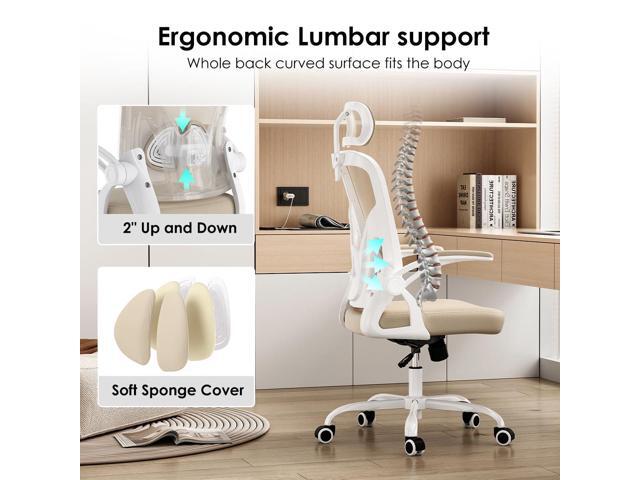Farini Ergonomic Office Chair, Home Office Desk Chair with Headrest, High Back Swivel Computer Chair with Armrests and Adjustable Lumbar Support...