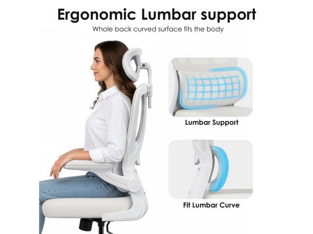 Farini Ergonomic Office Chair, Desk Chair with Headrest and Lumbar Support, High Back Swivel Home Office Chair with Headrest for Home Office...