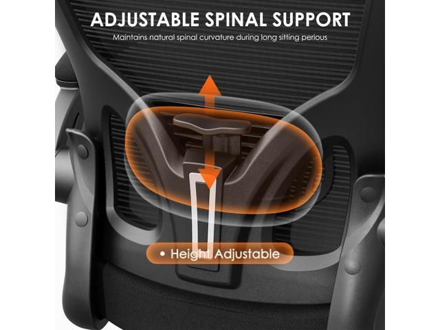 Ergonomic Office Chair, 300lbs High Back Breathable Mesh Desk Chair with Lumbar Support, Flip-Up Arms & Adjustable Headrest,360° Swivel Rolling...