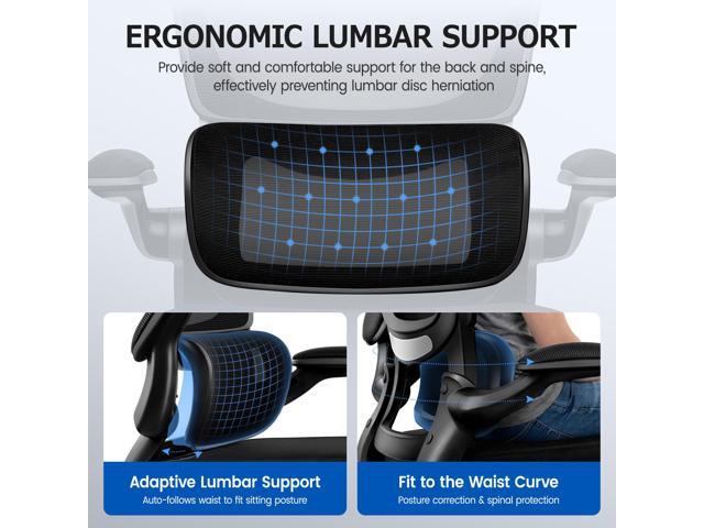 Ergonomic Office Chair, Breathable Mesh Ergonomic Desk Chair with Lumbar Support, Flip-up Armrests, Computer Chairs Comfortable for Home, Office,...