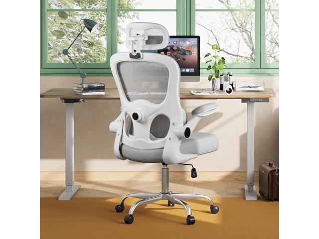 DEVAISE Ergonomic Mesh Desk Chair, Separated-Adjustable Lumbar Support,Large Cushion, Flip-up Armrests, 90-125° Rocking Tilt, for Home Office...