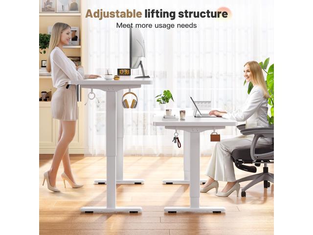 EnHomee Electric Standing Desk with LED Lights,Computer Desk 56 x 24 Inch Height Adjustable with 3 Memory Preset,Gaming Sit Stand Desk with Storage...