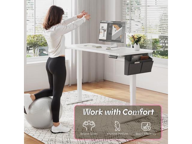 EnHomee Electric Standing Desk with LED Lights,Computer Desk 56 x 24 Inch Height Adjustable with 3 Memory Preset,Gaming Sit Stand Desk with Storage...