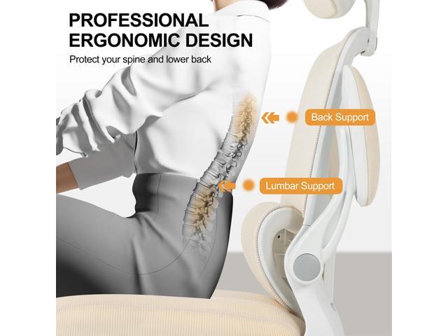 Ergonomic Office Chair,Home Mesh Office Desk Chairs,High Back Chair 330 LBS,Swivel Computer Task Chair with Adjustable Lumbar Support,Up & Down...