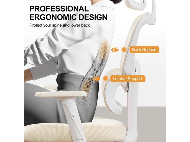 Ergonomic Office Chair,Home Mesh Office Desk Chairs,High Back Office Chair 330 LBS,Swivel Computer Chair with 2D Armrest,Adjustable Headrest,Lumbar...