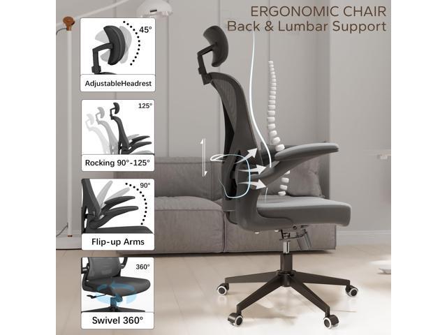 Office Chair Ergonomic Office Chair Tilt Function Adjustable Headrest with Flip-Up Arms, Cushion for Lumbar Support and Sturdy Wheels, 360 Degree...