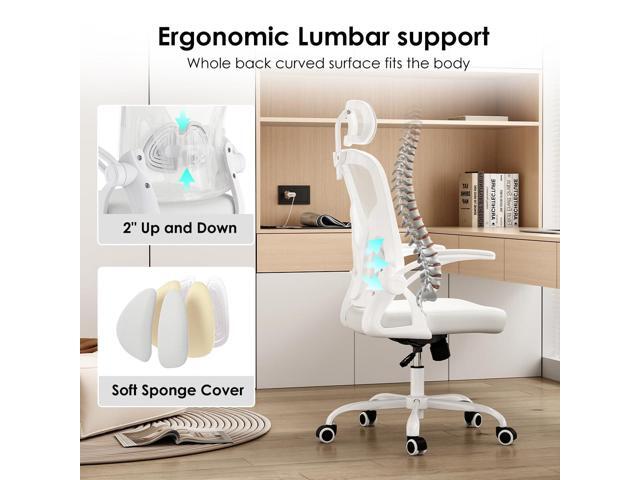 Farini Ergonomic Office Chair, Home Office Desk Chair with Headrest, High Back Swivel Computer Chair with Armrests and Adjustable Lumbar Support...