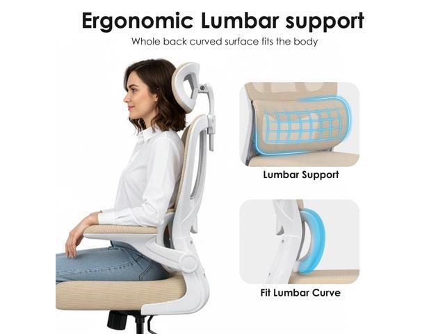 Farini Ergonomic Office Chair, Desk Chair with Headrest and Lumbar Support, High Back Swivel Home Office Chair with Headrest for Home Office...