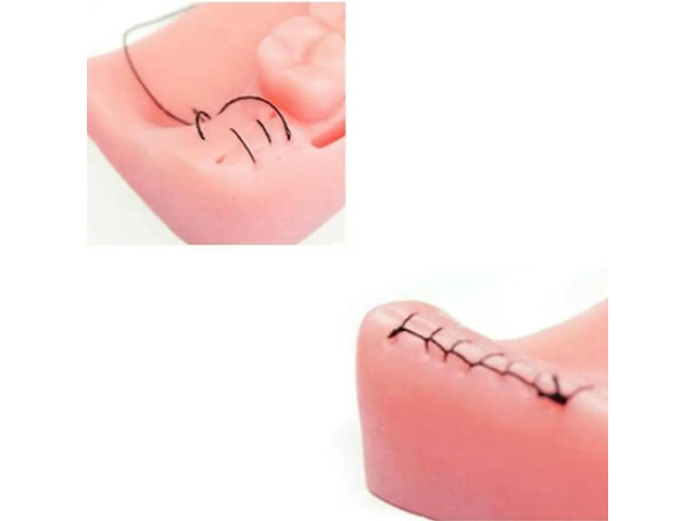 4-in-1 Dental Suture Practice Pad Set with 4 Different Dental Silicone Suture Pads for Dentical Nurse Suture Training