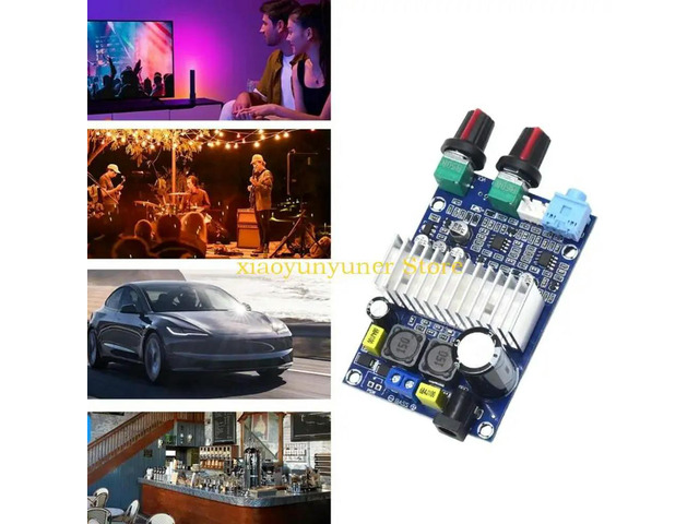 Heavy Duty 12-24V Subwoofer Amplifier 100W Output Mono Power Subwoofer Amplifier Board For Home Theater Accessories