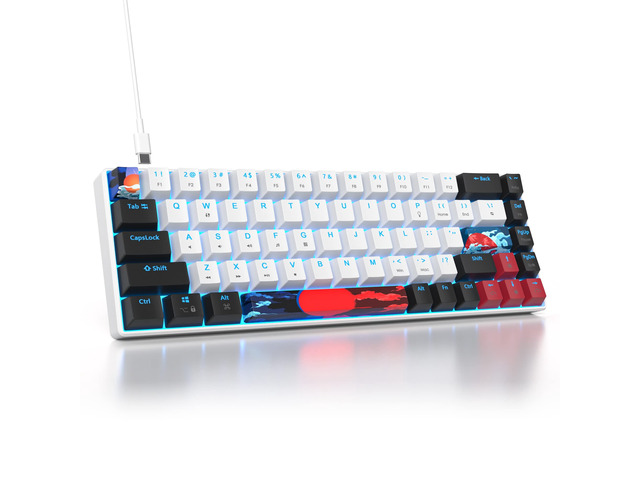 60 Percent Gaming Keyboard 68 Keys Mechanical Keyboard LED Backlit Compact Wired Keyboard with Red Switch for Windows PS4/5 Xbox Gamer(Black-White)