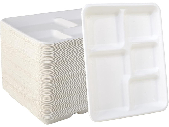 Vplus 500 Pack 5 Compartment Plates, 100% Compostable Paper Plate, 10.25x8.5 inch Disposable School Lunch Trays, Eco-Friendly Bagasse Plates for...