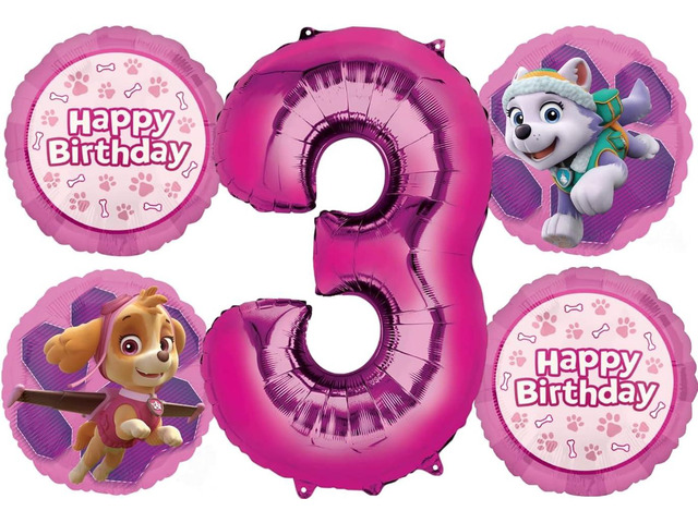 Skye and Everest 3rd Birthday Party Supplies Girl Paw Pups on Patrol Balloon Bouquet Decorations 5ct