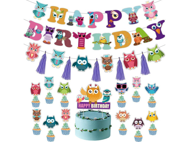 Owl Birthday Decorations - Cute Owl Theme Party Supplies with Birthday Banner, Colorful Tissue Paper Tassels Garland, Cake Toppers Set for Baby...