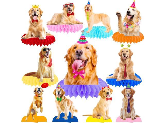 Golden Retriever Honeycomb Centerpieces Dog Party Table Decorations 12Pcs Golden Retriever Birthday Party Decorations Dog Party Decorations Puppy...