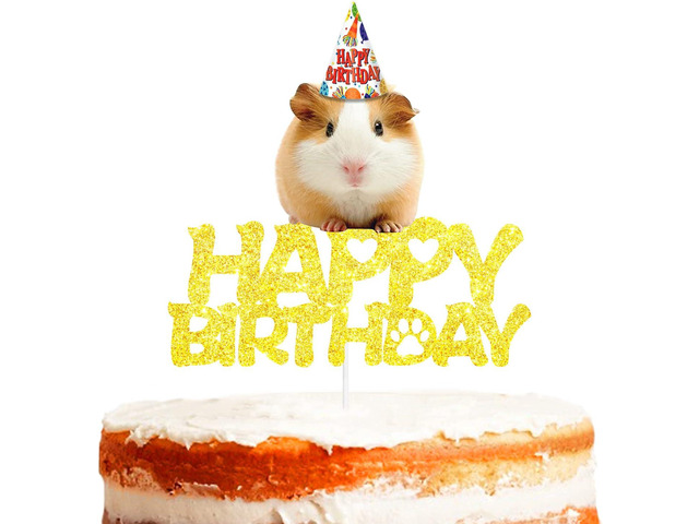 Gold Glitter Hamster Happy Birthday Cake Topper Baby Shower Boys Girls Birthday Party Decor Supplies Pick for Cute Lovely Guinea Pig Theme Decorations
