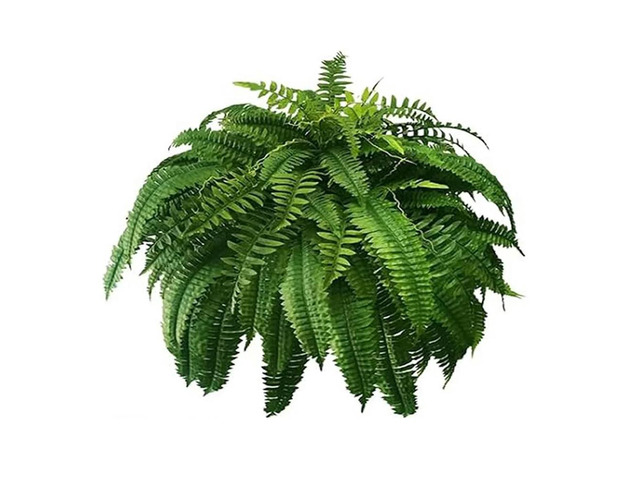 Lifelike UV Resistant Artificial Boston Fern for Outdoor Use Faux Fern Plants Greenery Decorative Fake Ferns