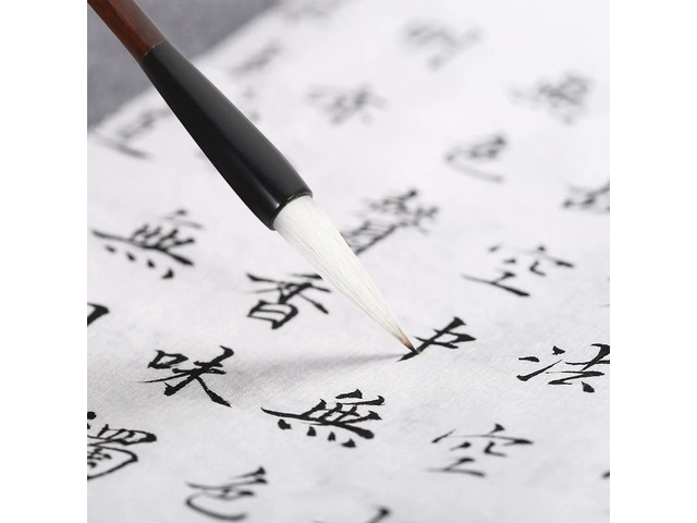 3Pcs Chinese Calligraphy Brushes Wooden Handle L Traditional Writing Painting Brush Pen for Beginner Calligraphy Drawing Set