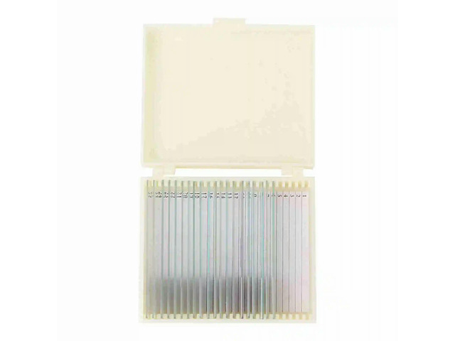 Microscope Slide Biological Prepared Slide Specimen Biological Prepared Slide for Teaching Biological School Student