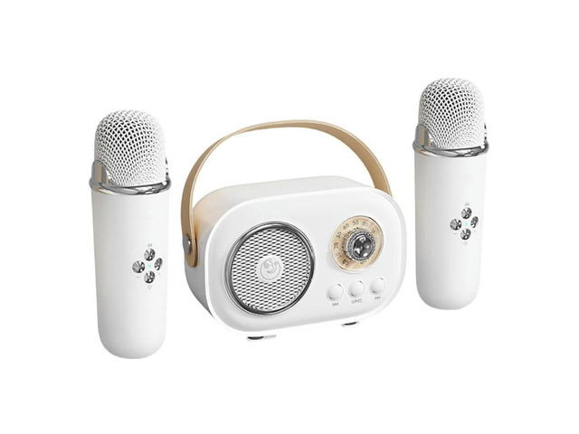 Mini Karaoke Machine W/ 2 Microphones Karaoke Speaker for Home KTV Birthday Party Holiday Gifts