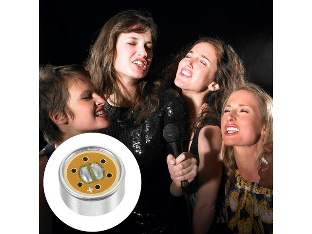 Handheld Microphone Core Noise Reduction Condenser Mic Core High Sound Meeting Live Broadcasting Recording Mic Accessory