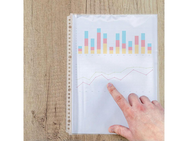 20Pcs File Folder Refill Pages A4 Transparent Binder Sleeves 30-Hole Clear Document Organizer Protector for Office School Home