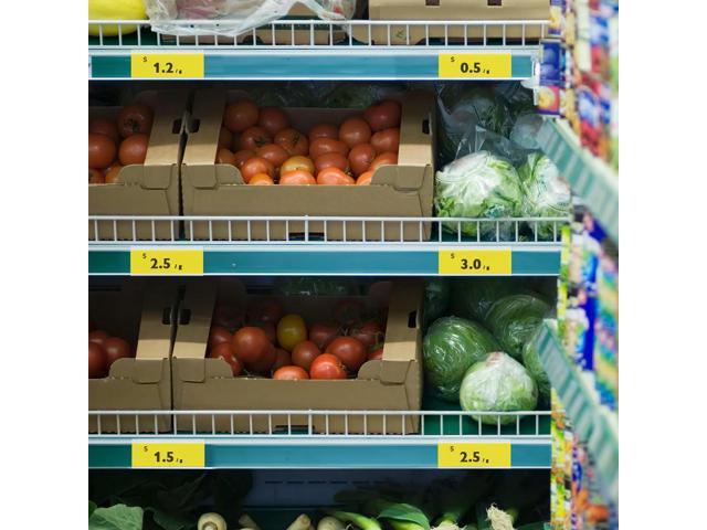 50Pcs Smooth-Edge PVC Price Display Holders High-Transparency Shelf el Holders for Store Supermarket eling System