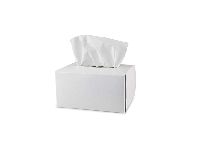 Pyramex Safety Products LT300 Lens Cleaning Tissues, Package of 300 White