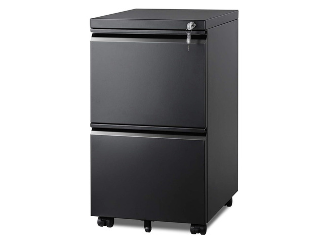 2 Drawer Metal File Cabinet, Fully Assembled Filing Cabinet Under Desk Mobile File Cabinet with Lock for Home Office, Fits Letter/Legal/A4 Size...