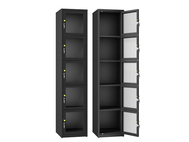 5 Doors Metal Locker Organizer Acrylic Door Cabinet, Lockable Locker for Home, Office, Gym, School, Garage, lockable for Employees, Black