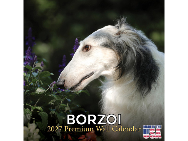 Borzoi Calendar 2026-2027, 16-Month 12x12 Wall Calendar 2026-2027 Calendar, Dog Lover Gift, Made in USA, Thick 100# No-Bleed Paper, Large Writing...