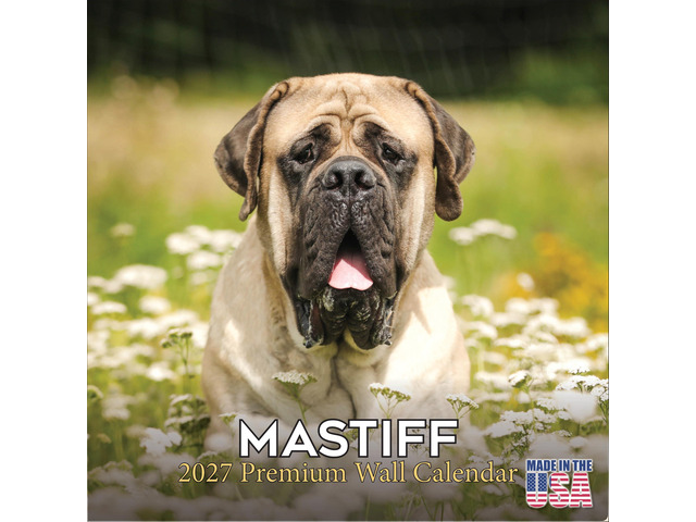 Mastiff Calendar 2026-2027, 16-Month 12x12 Wall Calendar 2026-2027 Calendar, Dog Lover Gift, Made in USA, Thick 100# No-Bleed Paper, Large...