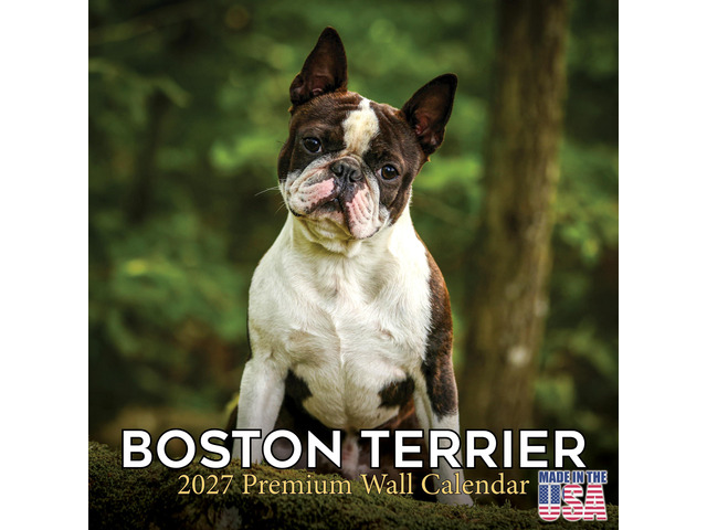 Boston Terrier Calendar 2026-2027, 16-Month 12x12 Wall Calendar 2026-2027 Calendar, Dog Lover Gift, Made in USA, Thick 100# No-Bleed Paper, Large...
