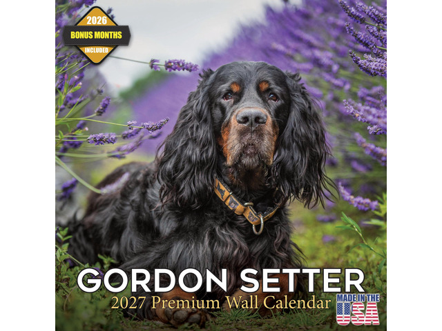 Gordon Setter Calendar 2026-2027, 16-Month 12x12 Wall Calendar 2026-2027 Calendar, Dog Lover Gift, Made in USA, Thick 100# No-Bleed Paper, Large...