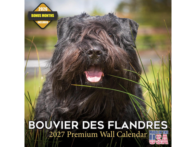 Bouvier Des Flandres Calendar 2026-2027, 16-Month 12x12 Wall Calendar 2026-2027 Calendar, Dog Lover Gift, Made in USA, Thick 100# No-Bleed Paper,...