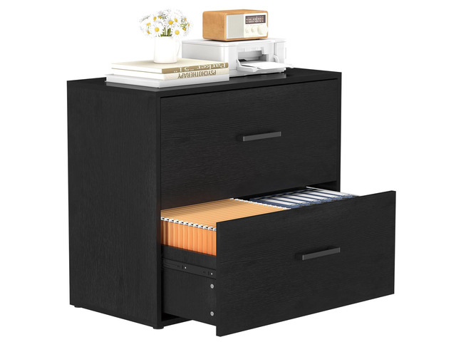 File Cabinet, 2 Drawer Lateral Filing Cabinet with Hanging Bars for Letters, Black File Cabinets for Home Office, Large Printer Stand, Wood Office...