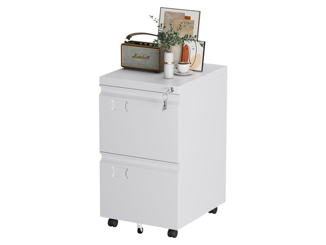 2 Drawer Metal File Cabinet with Lock and Wheels, White 5 casters with 2 locking front wheels; stores Letter and A4 files for home offices and...