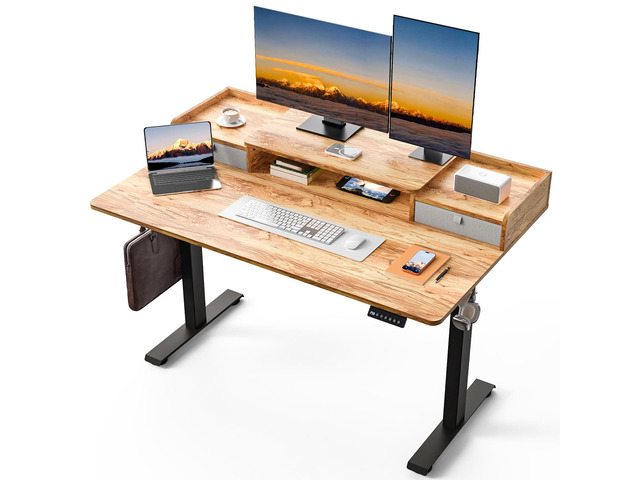 55 x 30 Inch Electric Standing Desk with 2 Drawers, Adjustable Height Widened Stand Up Desk with Storage, Sit to Stand Ergonomic Workstation for...
