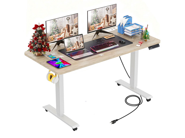 55 x 24inch Electric Standing Desk Adjustable Height with Power Outlets, Stand up Desk with Wheels,Hooks, Mouse Pad, Preset Heights Home Office...