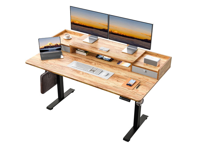 63 x 30 Inch Electric Standing Desk with 2 Drawers, Adjustable Height Widened Stand Up Desk with Storage, Sit to Stand Ergonomic Workstation for...