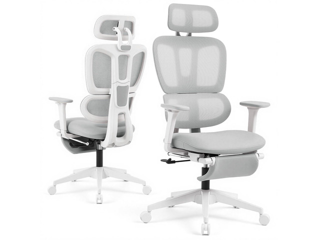 Ergonomic Office Chair with Footrest and Dynamic Lumbar Support, Grey Reclining high-back computer chair, memory foam seat, 2D armrests, 2D...