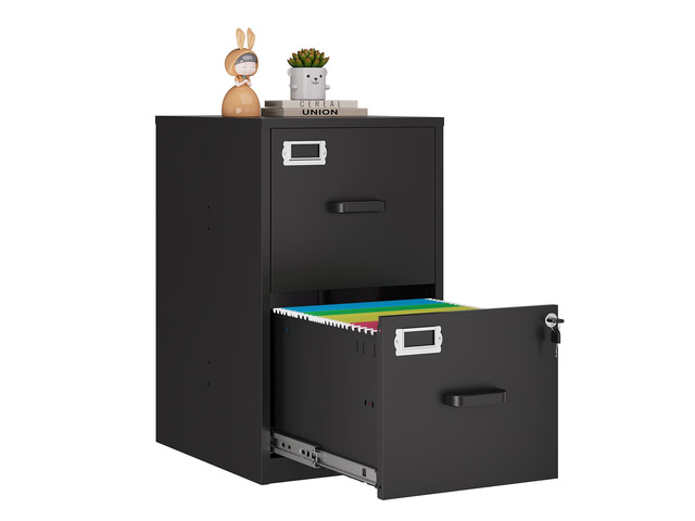 2 Drawer File Cabinet with Lock,Black Metal Vertical File Cabinets for Letter Size, Filing Cabinets for Home Office, Under Desk File Cabinet, Easy...