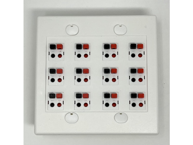 12 Port Speaker Jack Dual Gang Wall Plate for Home Theater - White