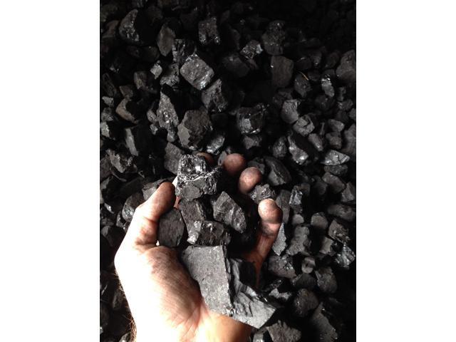 Bituminous Coal 50lbs