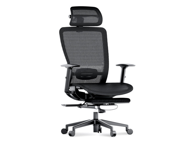 OC3 Air Ergonomic Office Chair with Footrest, Mesh Back Computer Chair, Home Office Desk Chairs, with Adjustable Lumbar Support/3D...